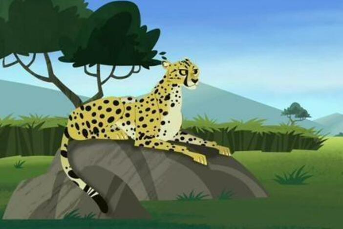 Martin tests his new running shoes in a race against a cheetah.
