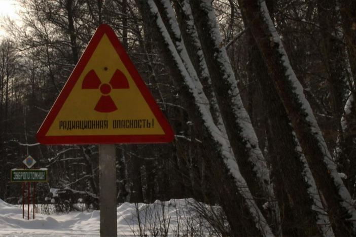 What happens to nature after a nuclear accident?