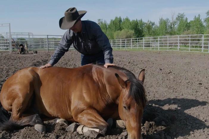 Preview the remarkable relationship Jimmy Anderson has with his horse Maverick.