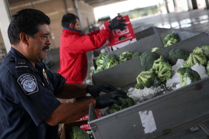 News Wrap: Trump says tariffs on Mexican goods ‘likely’