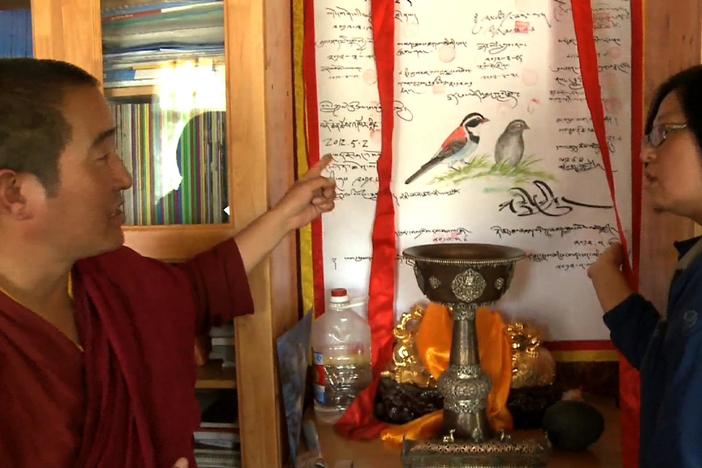 The secular state is looking to ancient religions to restore environmental values.