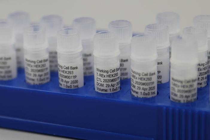 What accelerated COVID-19 vaccine development means for safety