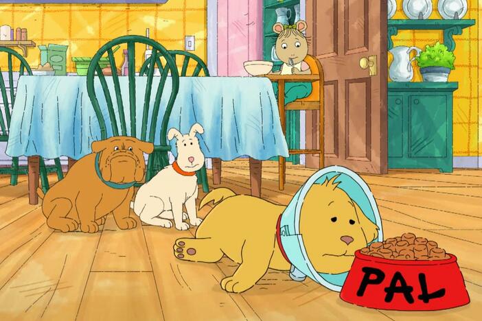 Pal is forced to endure the greatest hardship a dog can bear: THE CONE.