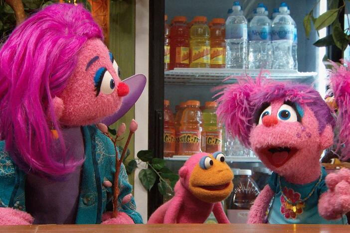 Abby and Rudy want to bring nature inside Hooper’s so Chris can feel like he’s outside.
