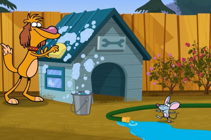 Nature Cat nature chats all about droughts!