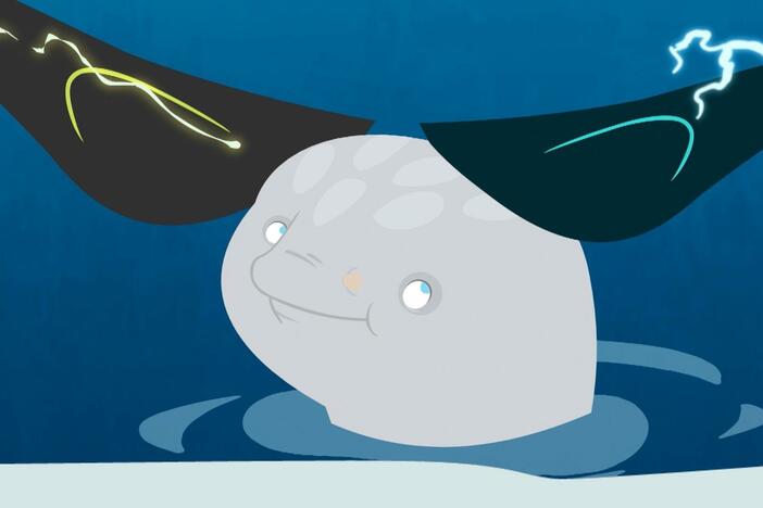 Aviva adjusts the narwhal's creature power disc and the bros get their tusks!
