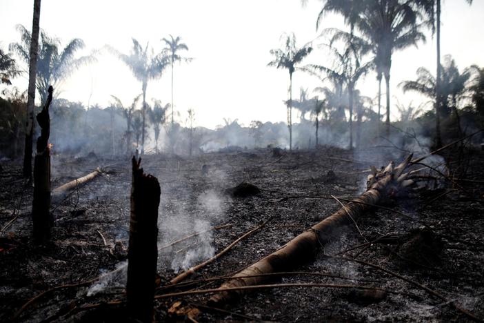 International pressure mounts for Brazil to counter raging Amazon fires