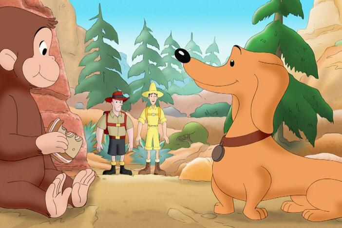 George goes on a fossil quest through a gorge. / Betsy reads a story for a radio show.
