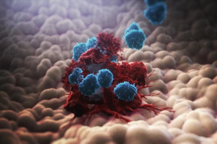 The battle begins as soon as healthy cells mutate into cancer cells.