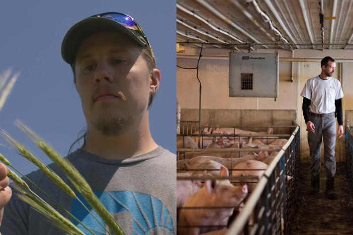 Meat plant closures trickle down to grain production
