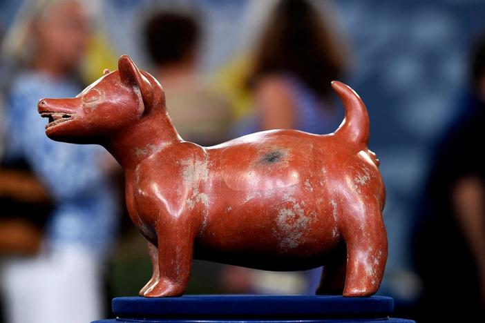 Appraisal: Colima Pottery Dog Figure, 200 BC - 200 AD, from Special: Somethings Wild.