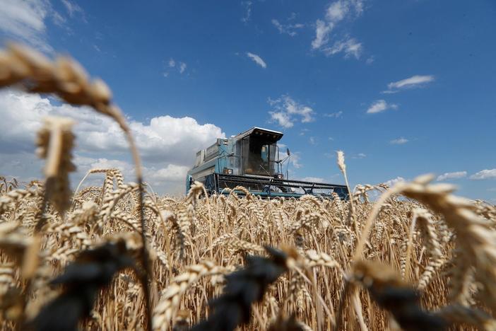 Russia's war in Ukraine disrupts worldwide food prices and supply