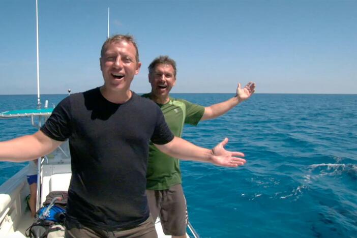 The Kratts swim with dolphins and listen to their methods of communication!