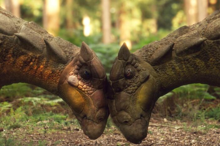 Follow a gang of armored dinosaurs that battle to reach adulthood, pursued by ferocious raptors.