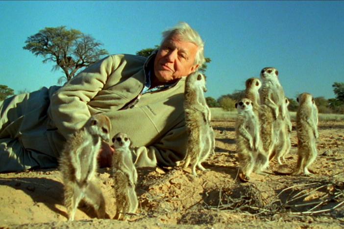 Share in Attenborough’s memories of the scientists that helped shape his career.