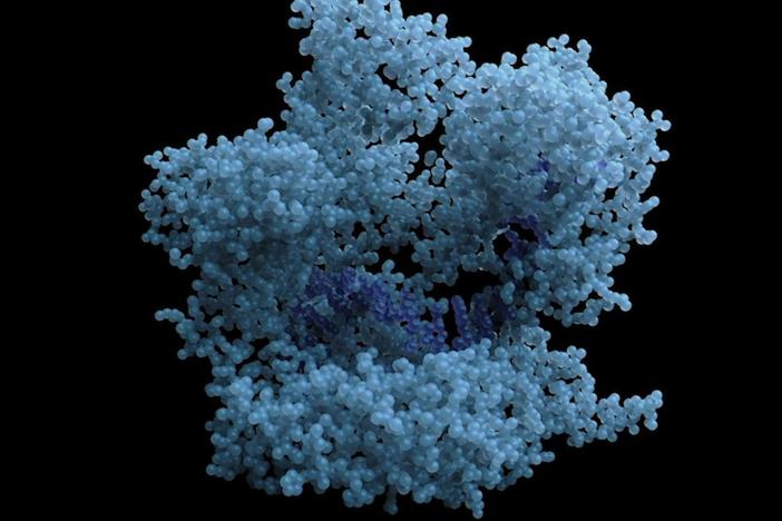 CRISPR is bacteria's natural defense against viruses.