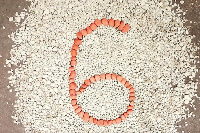Do you see anything hidden in these rocks? It's the number six!