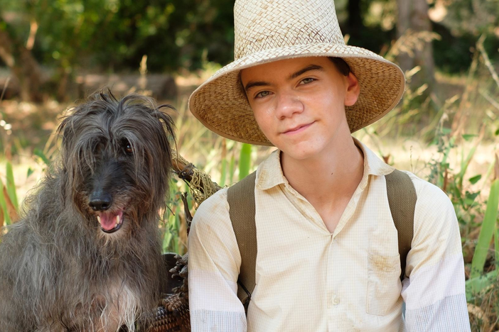 Dogs, spiders, and pelicans, oh my! Revisit all the non-human friends of the Durrells.