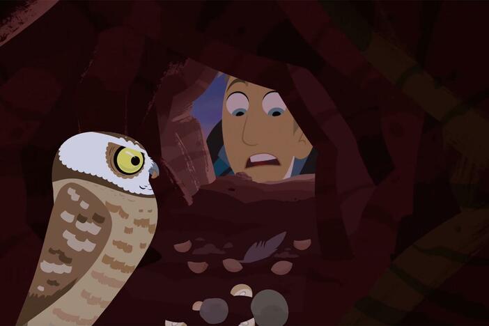 The bros encounter a burrowing owl and learn about its ways of catching prey