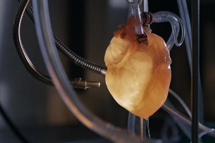 Custom-built lungs, livers, kidneys and hearts could someday save thousands of lives.