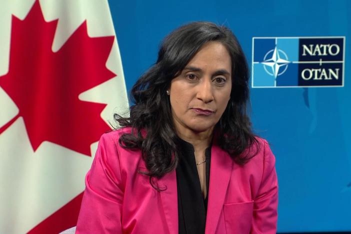 Anita Anand says the Mariupol bombing "may indeed amount to a war crime."