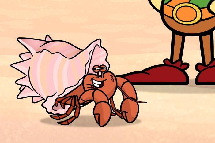 Can Nature Cat and the gang find the perfect shell to protect Herbert’s little crab belly?