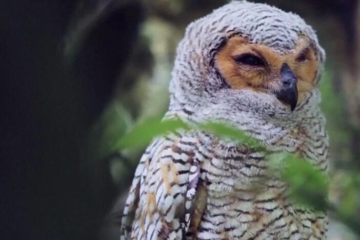 A look at some of 2025’s new additions to UNESCO World Heritage List