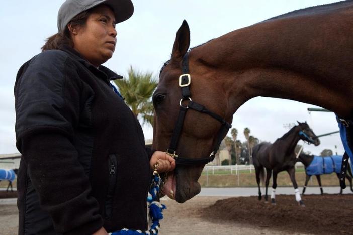 Stable Life documents the undocumented through one woman's life and family at a racetrack.