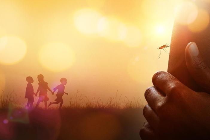 Follow the quest to create a lifesaving malaria vaccine.