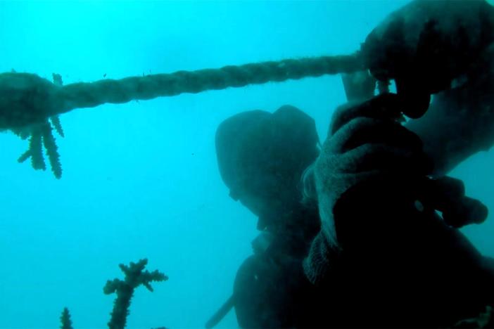 Incredible new technology is being launched to ensure healthy, fast-growing coral reefs.