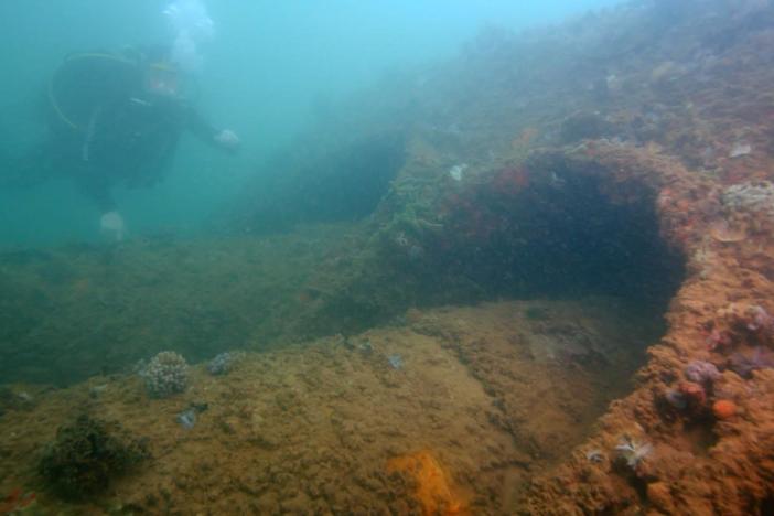 A National Parks Service diver showcases the sunken remains of the USS Arizona.