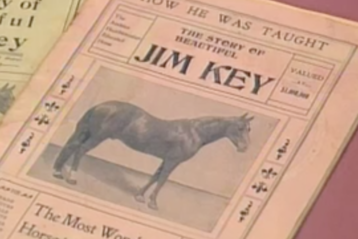 Appraisal: Jim Key Collection, ca. 1900, in Vintage Birmingham.