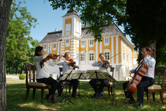 Select VPO ensembles perform in Beethoven's homes and compositional rooms around Austria.
