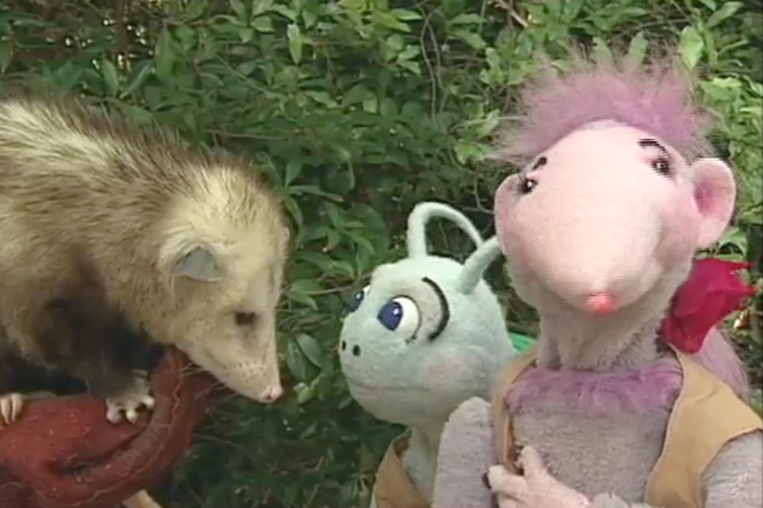 Blossom and Snappy help Robbie prepare for her math class by drawing pictures of animals.