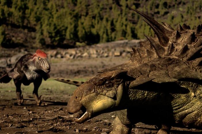 Gastonia have armor all along their back and tail, so how do Utahraptors hunt them?