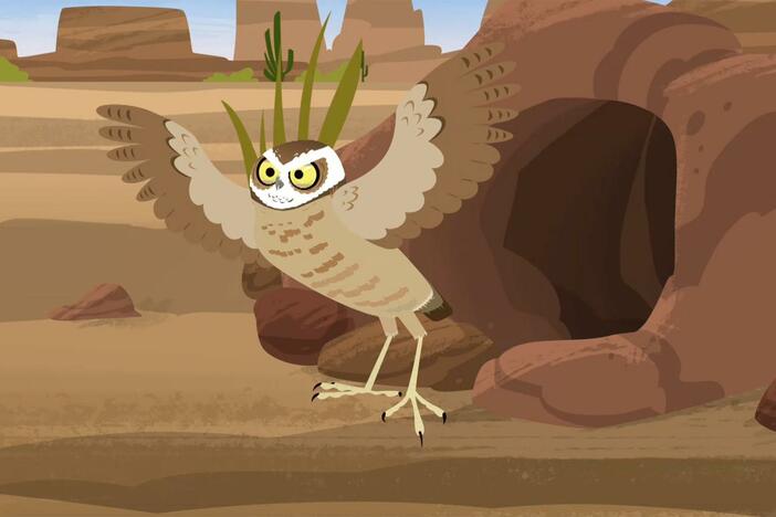 Chris worries he has been bitten by a snake which turns out to be a burrowing owl