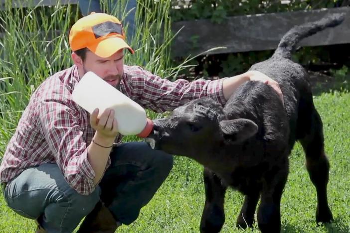 Victory Garden’s edibleFEAST is a fresh take on the long-running PBS series.