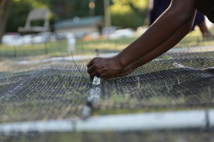 A family acts to rectify a systemic wrong after a mentally ill loved one's incarceration.