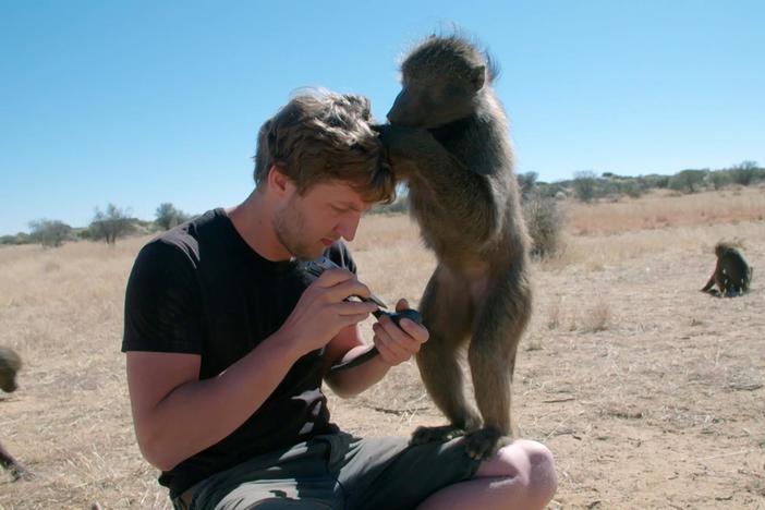 Go behind the scenes with the "Animals with Cameras" team!
