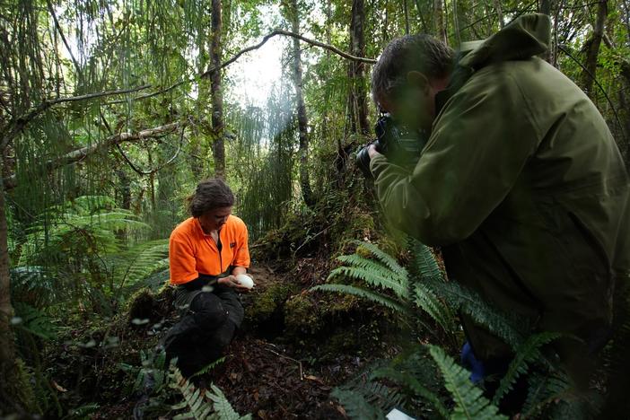 Travel with Joel Sartore to Budapest, Prague, and New Zealand.