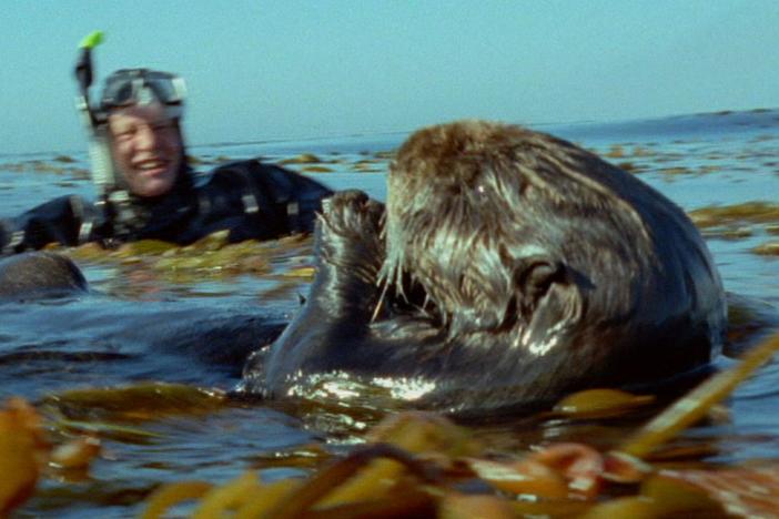 Hear Attenborough’s reflections on the impact human beings have had on the natural world.