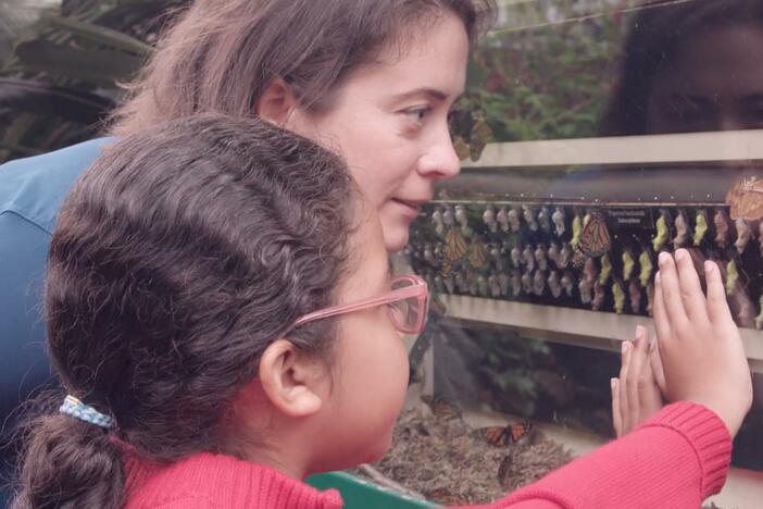 Real kid Camille visits a room with plants and flowers where lots of butterflies fly!