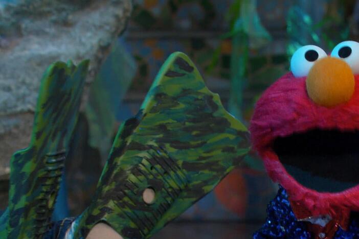 Elmo sings a song about the different kinds of turtles and their webby, flippy feet!