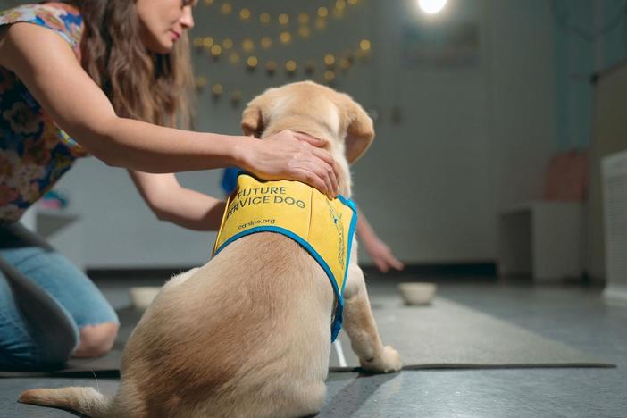 Vanessa Woods studies the wonders of canine cognition at Duke Puppy Kindergarten.