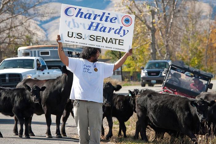 Charlie Hardy is running for the US Senate in Wyoming. Can he shake up the establishment?