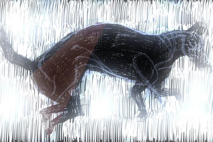 Strange experiences and realizations lead a grieving artist to reconsider his identity.