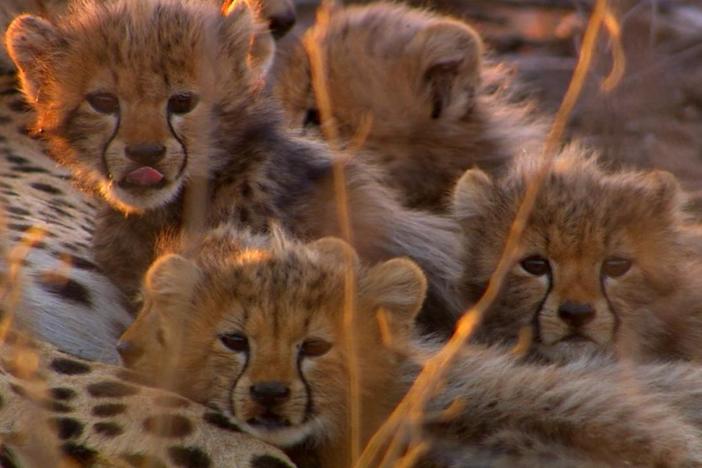 Is there anything more adorable?