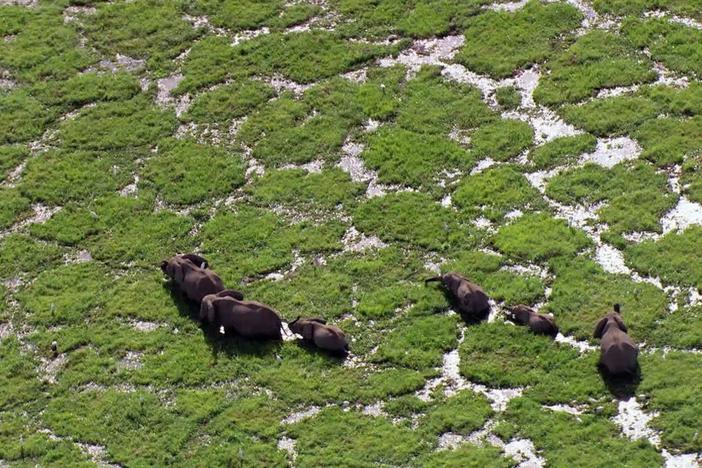 This five-part series features footage from the most striking places on Earth. Airs 2/4. 