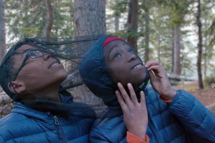 Elk, Marmots and Snow: Welcome to Colorado wilderness 101.