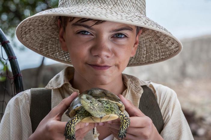 See a preview of The Durrells in Corfu, Episode 2.